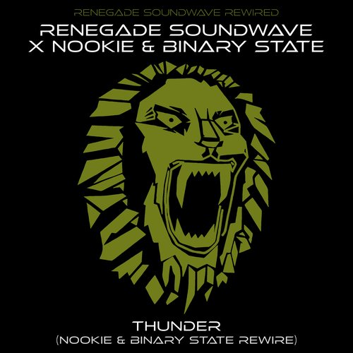 Thunder — Nookie & Binary State Rewire cover art